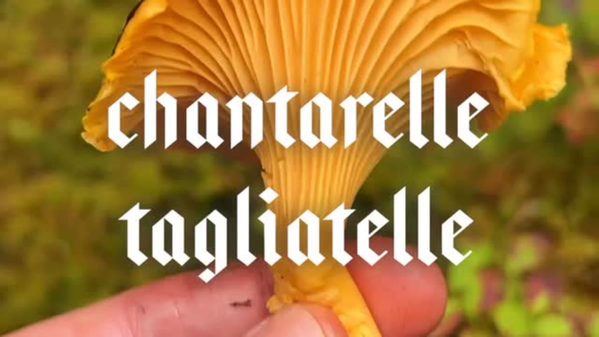 Chanterelle Tagliatelle with Burnt Cream – 35-Minute Recipe
