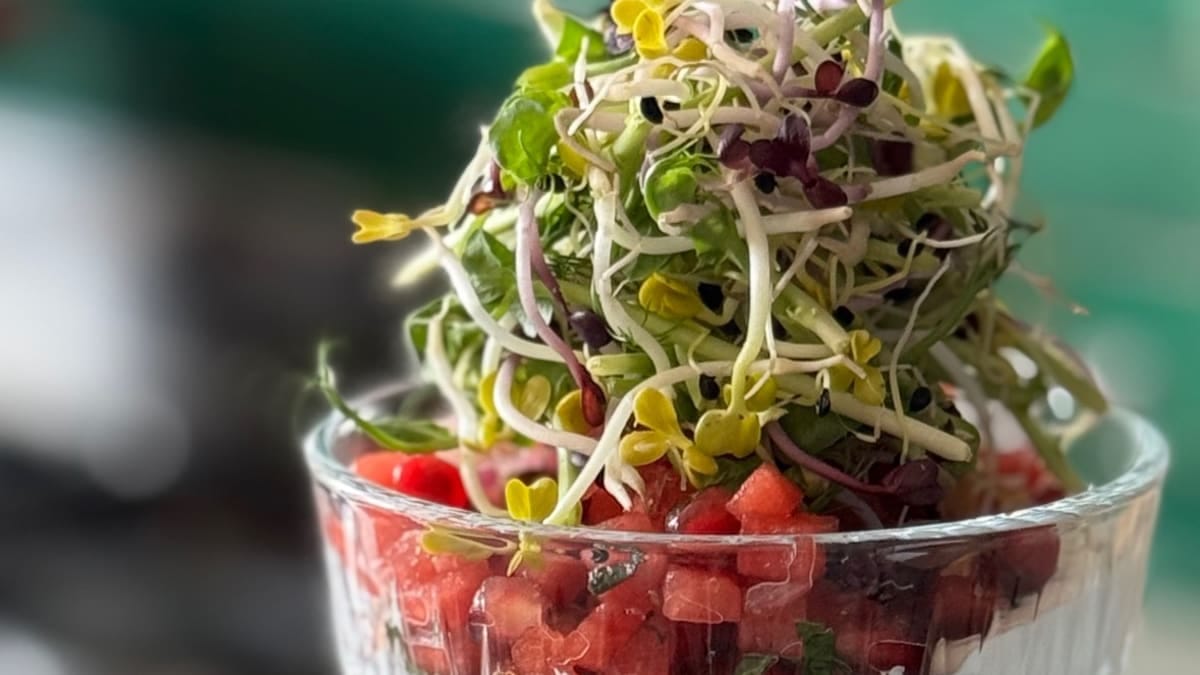 Watermelon Burrata Salad Starter Recipe