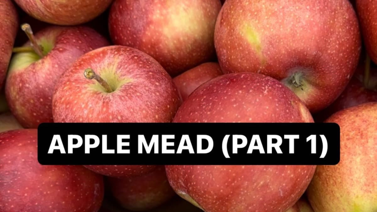 Apple Spice Mead Recipe