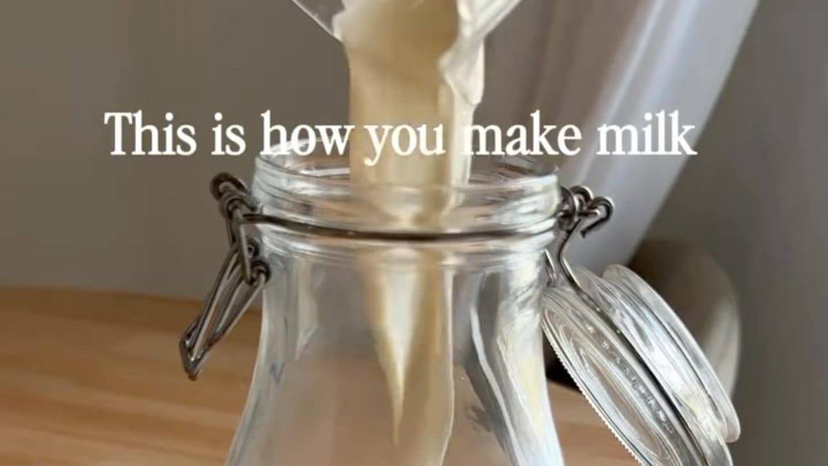 Almond Milk Recipe – Dairy-Free Vegan Drink