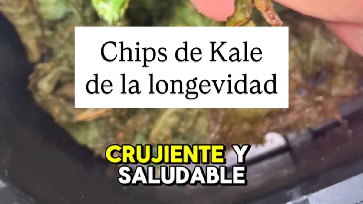 Kale Chips – Air Fryer 20-Minute Recipe