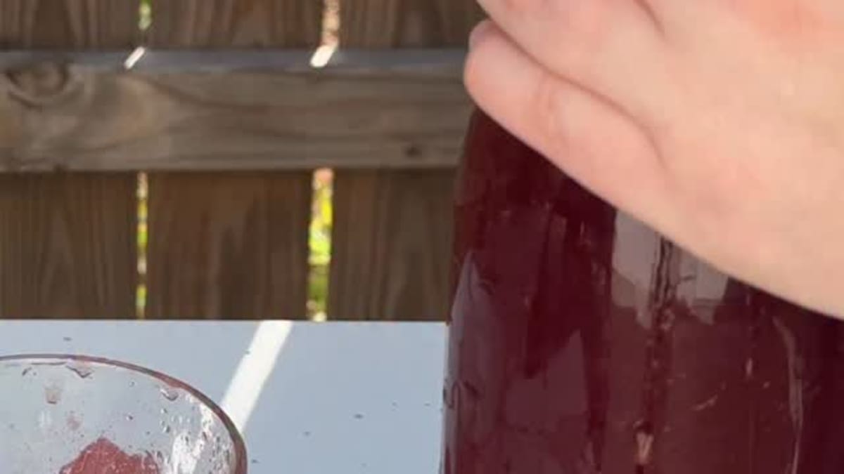 Ginger Starter – Fermented Beverage Recipe