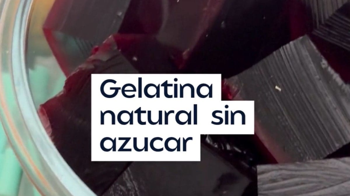 Functional Hibiscus Gelatin – 12-Minute Recipe